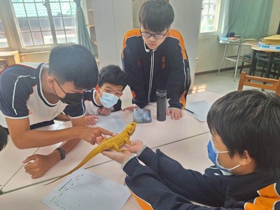 觀察生物